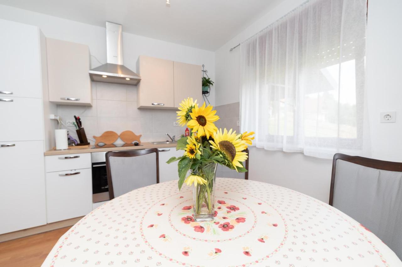 Apartmán Apartman Skender 3* Ravna Gora Exteriér fotografie