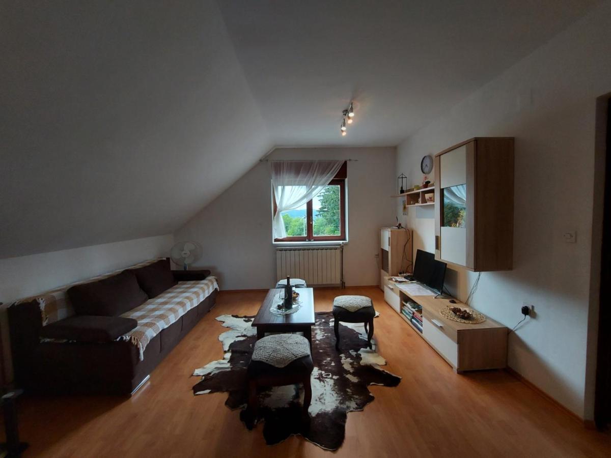 Apartmán Apartman Skender 3* Ravna Gora Exteriér fotografie
