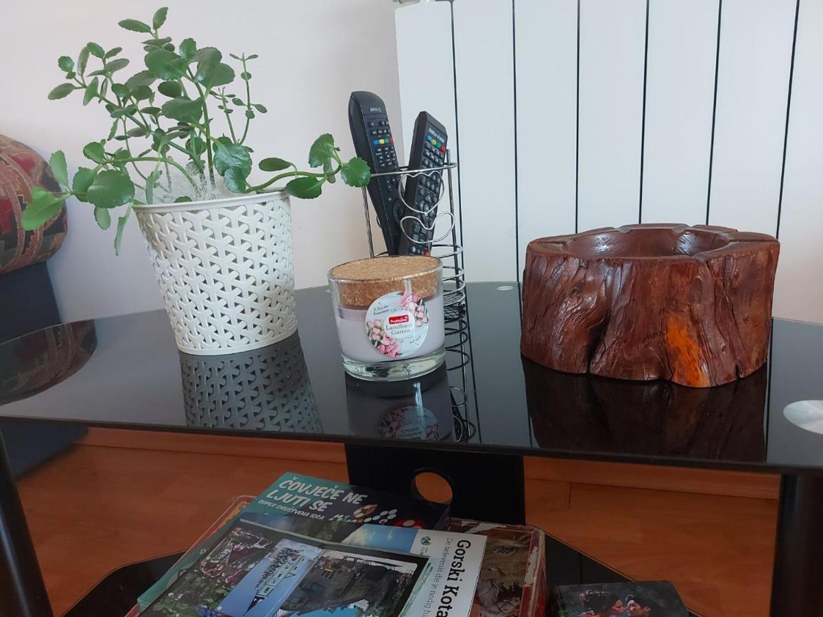 Apartmán Apartman Skender 3* Ravna Gora Exteriér fotografie
